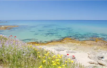Bilo 4, Appartement 4 personnes à Stintino - Photo 13