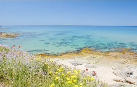 Trilo 6, Appartement 6 personnes à Stintino - Photo 18