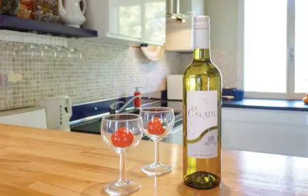 Location Maison 6 personnes à Puisserguier - Photo 33