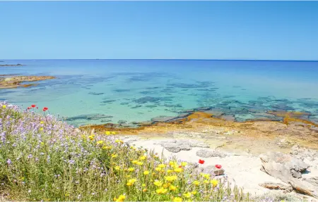 Villa 8 Presidential, Maison 8 personnes à Punta Su Turrione - Photo 6