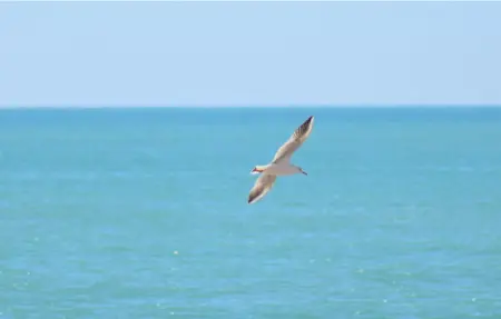 Villa Stefy, Maison 14 personnes à Ragusa - Photo 24