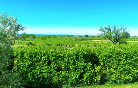 Location Maison 10 personnes à Cairanne - Photo 20