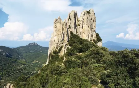 Location Maison 10 personnes à Cairanne - Photo 29