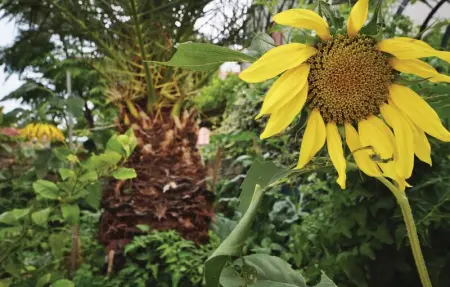 Location Appartement 6 personnes à Vodice - Photo 19