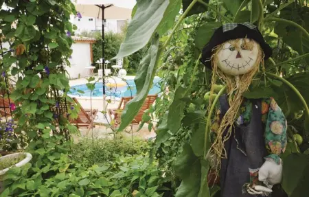 Location Appartement 6 personnes à Vodice - Photo 20