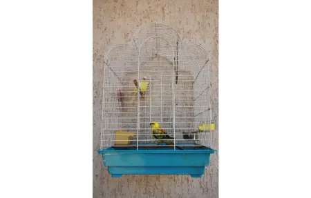 Location Appartement 6 personnes à Vodice - Photo 27