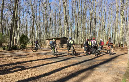 Castagno, Appartement 3 personnes à Capranica VT - Photo 26