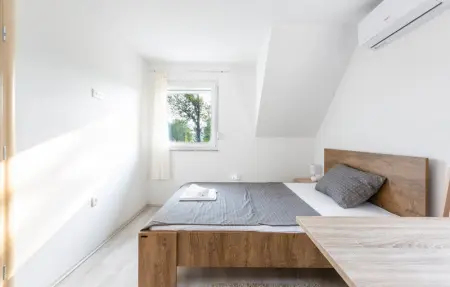 Location Maison 8 personnes à Smiljan - Photo 29