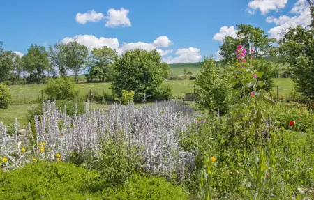 Location Maison 4 personnes à Langy - Photo 10