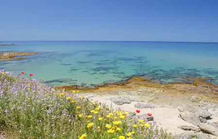 Location Appartement 4 personnes à Cannigione - Photo 4