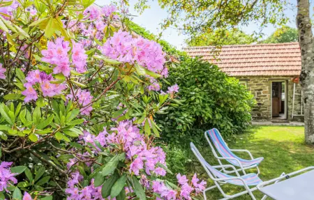 Location Maison 3 personnes à Quettehou - Photo 8