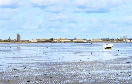 Location Maison 3 personnes à Quettehou - Photo 15