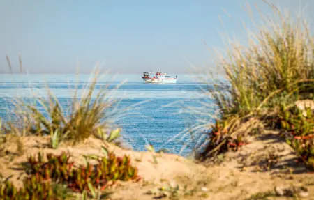 Tropicanapark, Maison 6 personnes à Denia - Photo 19