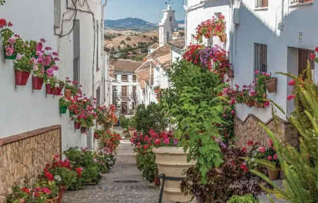 Location Maison 6 personnes à El Gastor - Photo 31