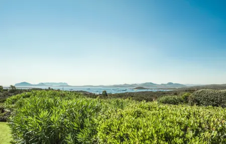 Location Maison 12 personnes à Arzachena - Photo 30