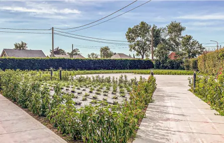 Location Maison 6 personnes à Diksmuide - Photo 9