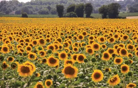 Location Maison 5 personnes à Fontenille St.Martin - Photo 16