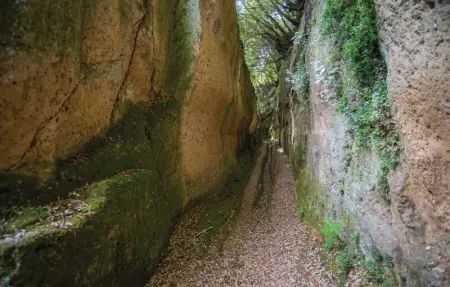 L'Ortale, Maison 6 personnes à Pitigliano GR - Photo 17
