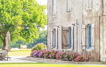 Location Maison 8 personnes à Beylongue - Photo 7