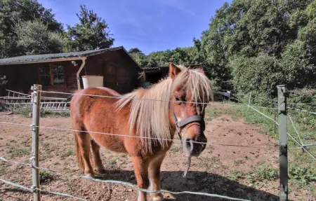 Location Maison 4 personnes à Saignon - Photo 21