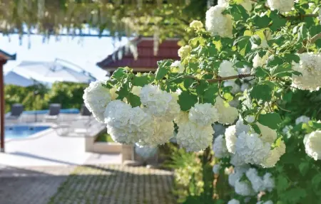 Location Maison 8 personnes à Bajagic - Photo 17