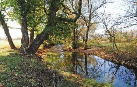 Location Maison 8 personnes à Bajagic - Photo 52