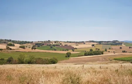 Location Maison 12 personnes à Castiglione del Lago - Photo 49