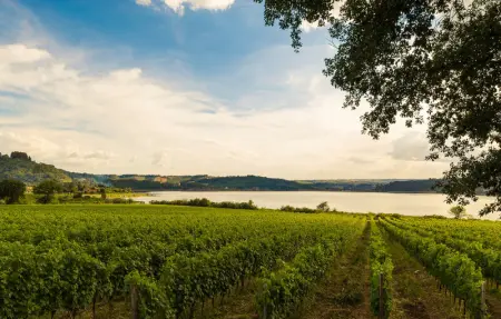 Location Maison 12 personnes à Castiglione del Lago - Photo 50