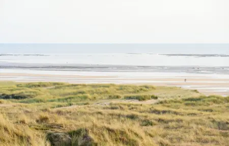 Location Maison 8 personnes à Portbail - Photo 24