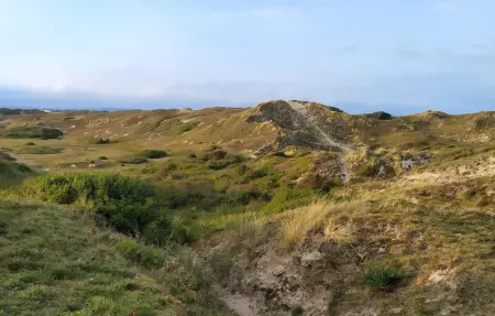 Location Maison 8 personnes à Portbail - Photo 28