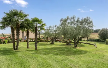 Location Maison 12 personnes à Tuscania - Photo 11