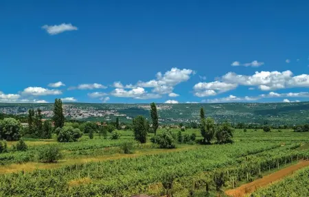 Location Maison 12 personnes à Rastovac - Photo 43