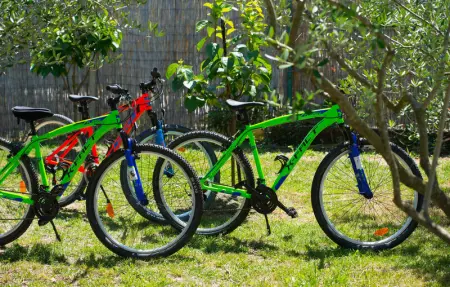 Location Maison 8 personnes à Kucice - Photo 9