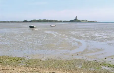 Location Maison 2 personnes à Quettehou - Photo 9