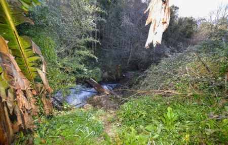 Location Maison 4 personnes à Petreto Bicchisano - Photo 4