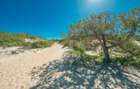 La Pietraia 2, Maison 4 personnes à Badesi OT - Photo 24