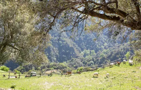 Rifugio Galluzzi, Maison 10 personnes à Ciminà - Photo 5