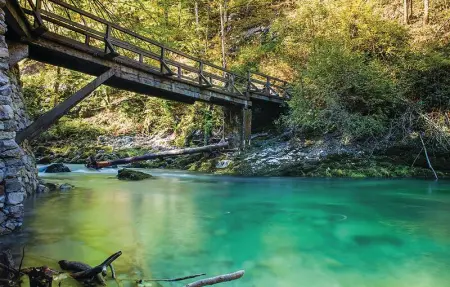 Location Maison 4 personnes à Lukovdol - Photo 22