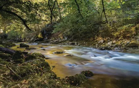 Location Maison 4 personnes à Lukovdol - Photo 23