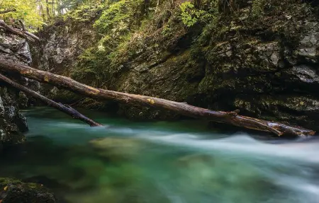 Location Maison 4 personnes à Lukovdol - Photo 26