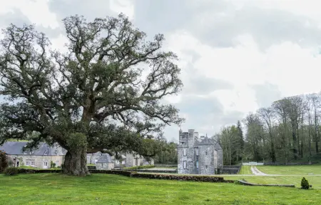 Location Maison 4 personnes à Gonneville le Theil - Photo 11