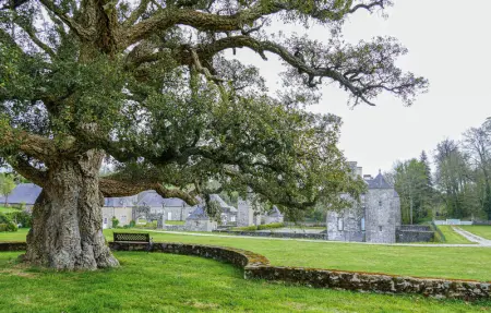 Location Maison 4 personnes à Gonneville le Theil - Photo 17