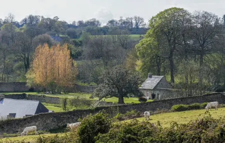 Location Maison 4 personnes à Gonneville le Theil - Photo 19