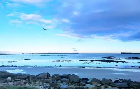 Location Maison 4 personnes à Gonneville le Theil - Photo 30