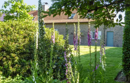 Location Maison 6 personnes à Kemmel - Photo 13