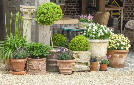 Location Maison 6 personnes à Kemmel - Photo 14