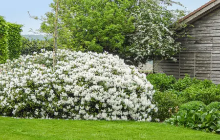 Location Maison 6 personnes à Kemmel - Photo 16