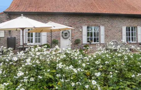 Location Maison 6 personnes à Kemmel - Photo 19