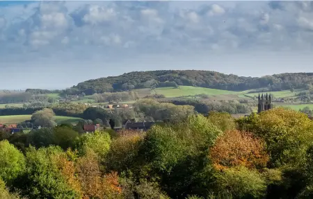 Location Maison 6 personnes à Kemmel - Photo 20
