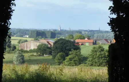 Location Maison 6 personnes à Kemmel - Photo 21